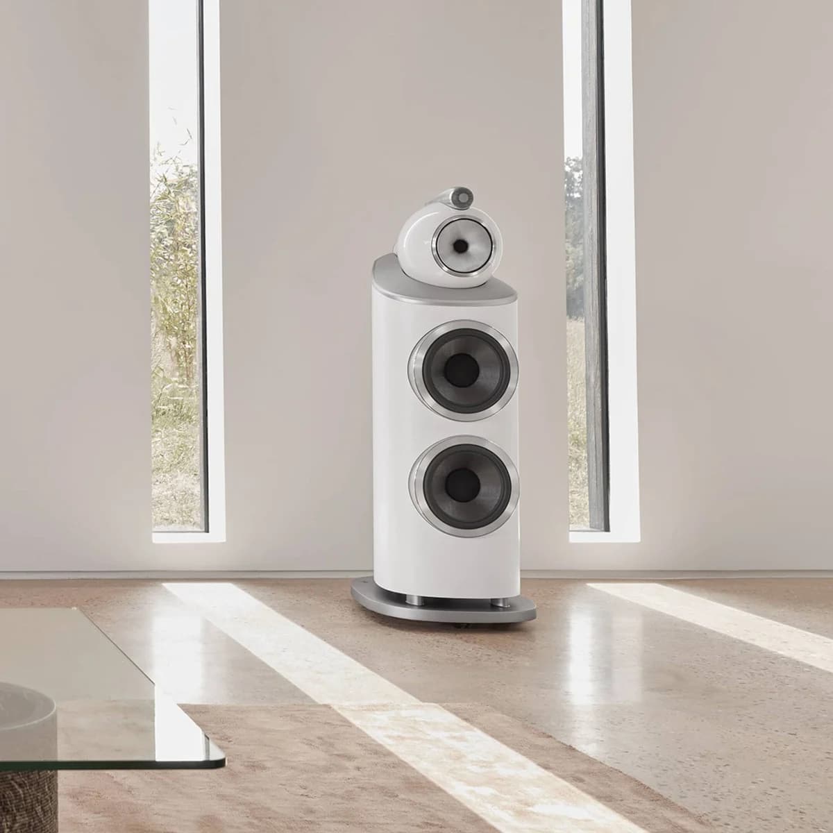 Bowers & Wilkins 801 D4 詳細画像 6
