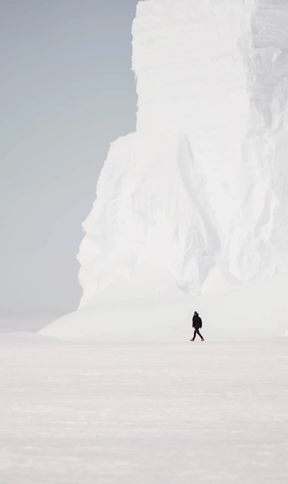 White Desert｜Baby Penguins & Blue Tunnels 南極プライベート探検 詳細画像 2
